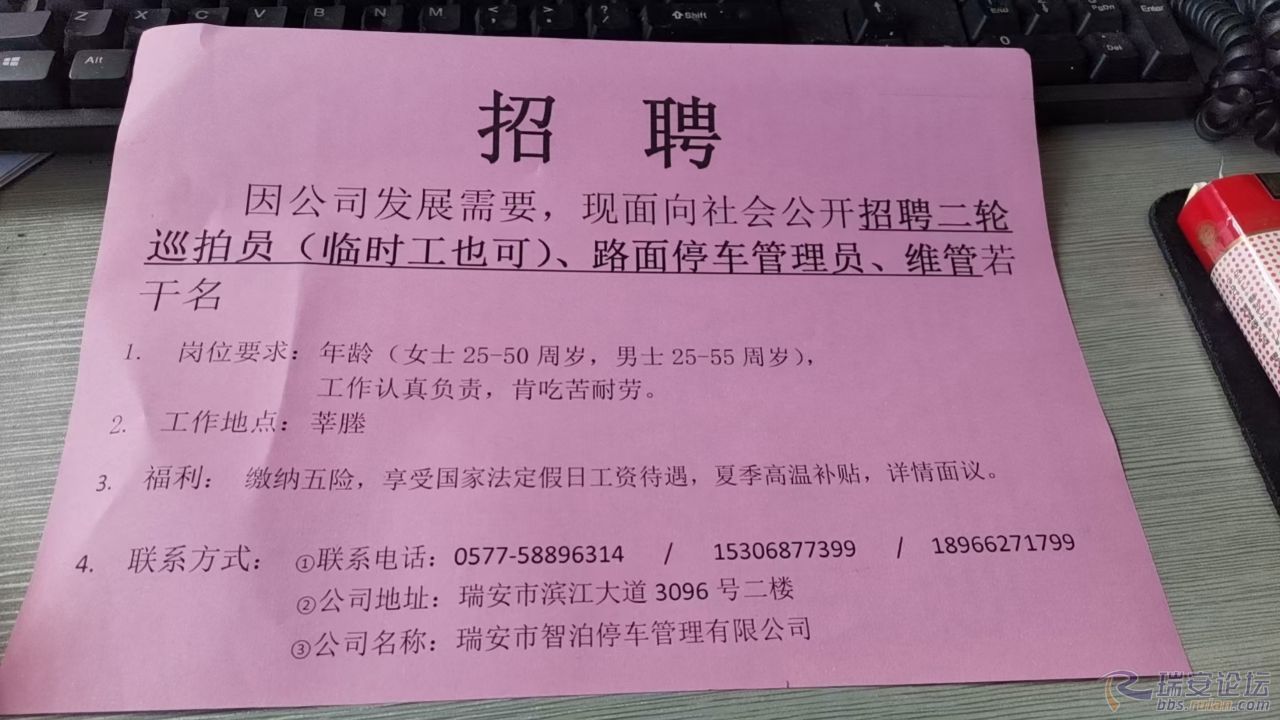 遂溪最新招聘臨時(shí)工信息及其相關(guān)概述，遂溪最新臨時(shí)工招聘信息概覽