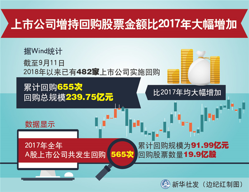 股票增持，策略、影響與考量因素，股票增持策略，影響因素與考量因素深度解析