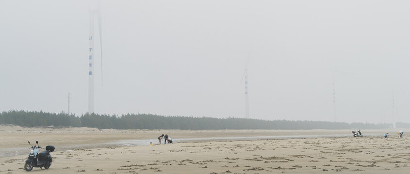 湛江南三島最新新聞報道，湛江南三島最新新聞動態(tài)速遞