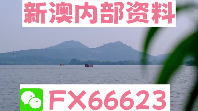 新澳2024正版資料免費(fèi)公開，探索與啟示，新澳2024正版資料探索與啟示，免費(fèi)公開內(nèi)容揭秘