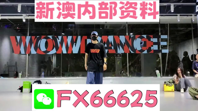 新澳門精準資料大全管家婆料,穩(wěn)定性策略設計_XT48.41