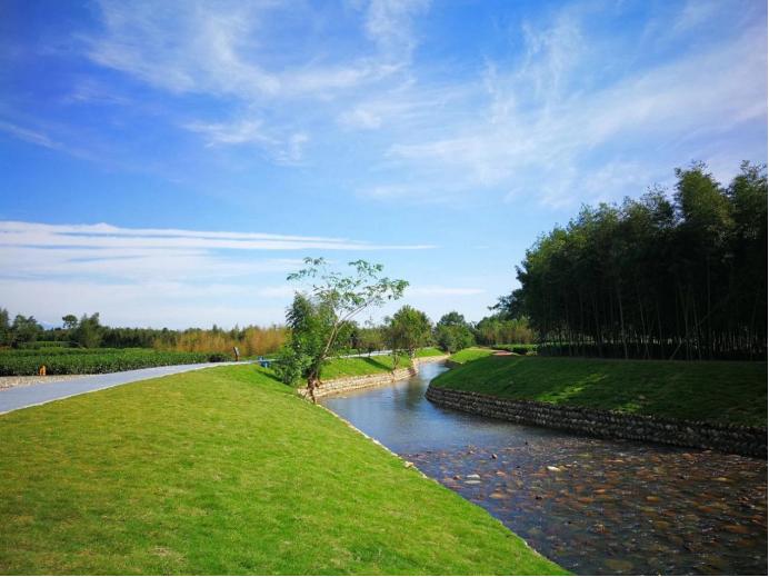 熊貓公園的最新消息，探索自然與文化的融合之旅，熊貓公園最新動(dòng)態(tài)，自然與文化融合之旅探索