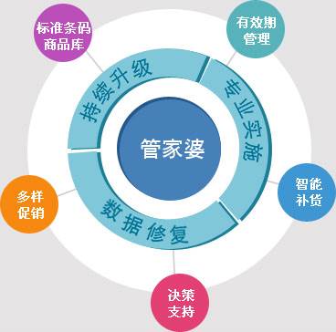 管家婆2024資料精準大全,高效設計實施策略_特供款62.403