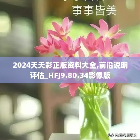 2024天天彩全年免費資料,精準解答解釋定義_精英版91.435