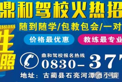 龍崗坑梓最新招聘司機(jī)信息，探索職業(yè)發(fā)展的無限可能，龍崗坑梓最新司機(jī)招聘信息，職業(yè)發(fā)展的無限機(jī)遇探索