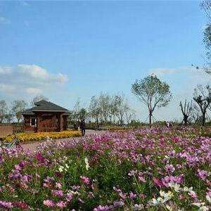 官港森林公園最新消息，官港森林公園最新動(dòng)態(tài)報(bào)道