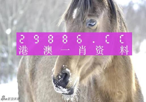 澳門精準(zhǔn)一肖一碼，揭秘背后的犯罪問題，澳門精準(zhǔn)一肖一碼，犯罪問題揭秘