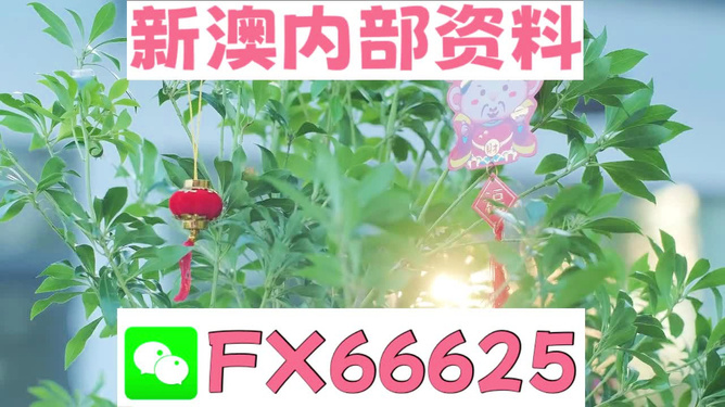 狀元紅97049精準(zhǔn)資料，探索與解讀，狀元紅97049精準(zhǔn)資料深度解讀與探索