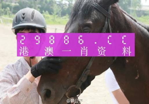 澳門(mén)一肖一碼一必中一肖舟山——揭秘背后的犯罪風(fēng)險(xiǎn)與挑戰(zhàn)，澳門(mén)一肖一碼背后的犯罪風(fēng)險(xiǎn)與挑戰(zhàn)揭秘