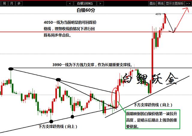 澳門最精準真正最精準,前沿分析解析_Holo84.331