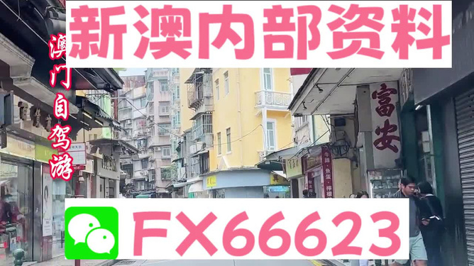 新奧精準(zhǔn)免費(fèi)資料提供，探索與啟示，新奧精準(zhǔn)免費(fèi)資料探索，啟示與分享