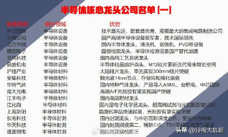 全球半導體芯片龍頭十大排名解析，全球半導體芯片龍頭企業(yè)十大排名解析