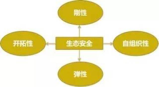 香港正版資料免費大全年使用方法,權威分析解釋定義_The49.63