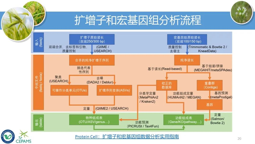 新奧長期免費(fèi)公開資料,實(shí)地策略評估數(shù)據(jù)_Premium29.79