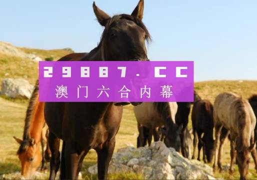 澳門管家婆資料正版大全——探索2023年的全新視界，澳門正版管家婆資料大全，2023年全新視界探索