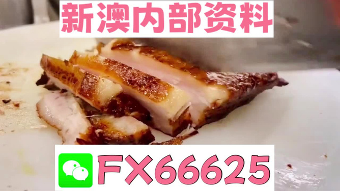 新奧長(zhǎng)期免費(fèi)資料大全，探索與啟示，新奧長(zhǎng)期免費(fèi)資料大全，深度探索與啟示