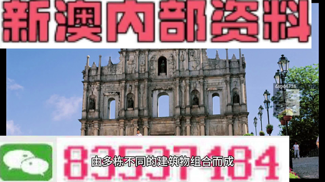 揭秘2024新澳精準(zhǔn)資料大全背后的真相——警惕潛在風(fēng)險(xiǎn)與違法犯罪問(wèn)題，揭秘2024新澳精準(zhǔn)資料背后的真相，風(fēng)險(xiǎn)與犯罪警示