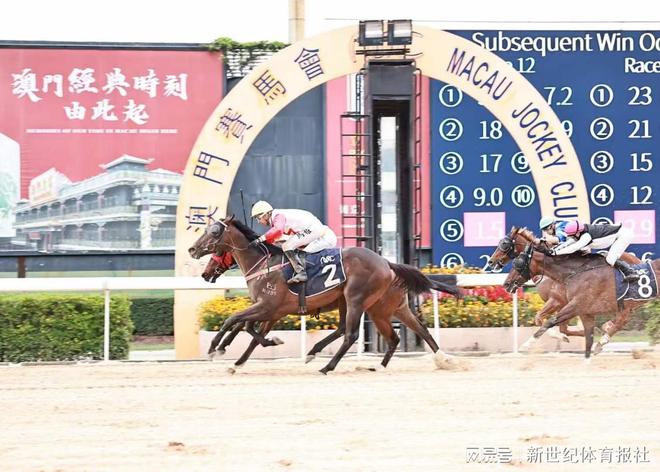 澳門賽馬會，歷史、文化與競技的交融，澳門賽馬會，歷史、文化與競技的璀璨交融