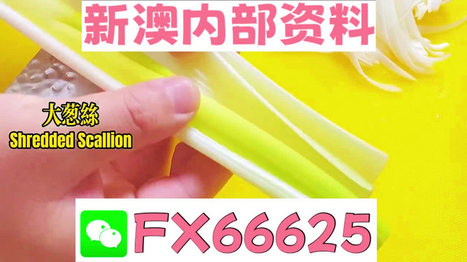 澳門正版資料免費大全新聞，揭示違法犯罪問題的重要性與應(yīng)對之道，澳門正版資料免費大全新聞，違法犯罪問題的應(yīng)對之道與重要性揭秘