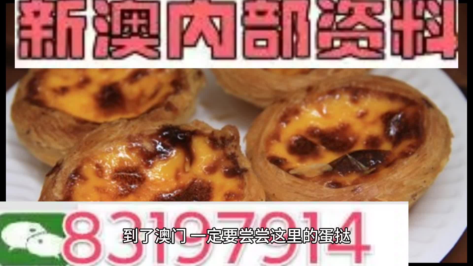 探索未來，2024年新奧梅特免費(fèi)資料大全，探索未來，2024年新奧梅特免費(fèi)資料大全全解析