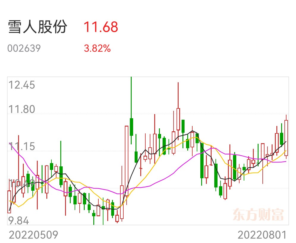 雪人股份可能面臨收購(gòu)，機(jī)遇與挑戰(zhàn)并存，雪人股份面臨收購(gòu)，機(jī)遇與挑戰(zhàn)并存