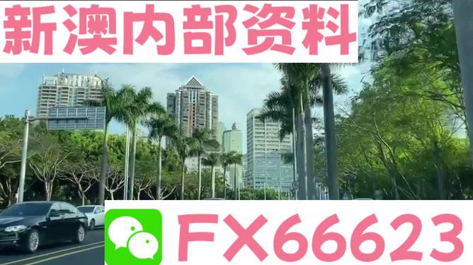 新澳精準(zhǔn)資料免費提供，探索第510期的價值與奧秘，新澳第510期資料揭秘，探索價值與奧秘的精準(zhǔn)指南