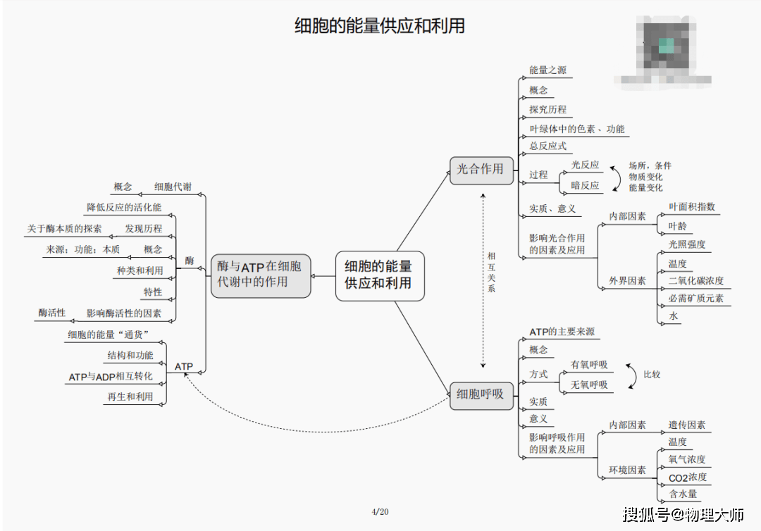 澳門一肖三碼必中特，揭示背后的風險與挑戰(zhàn)，澳門一肖三碼必中特背后的風險與挑戰(zhàn)，揭示違法犯罪問題真相