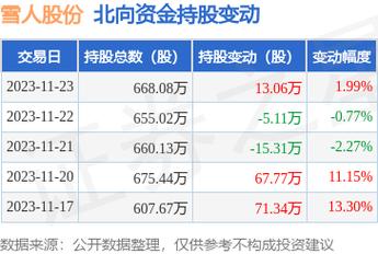 雪人股份目標價2024年，深度分析與展望，雪人股份2024年目標價深度分析與展望