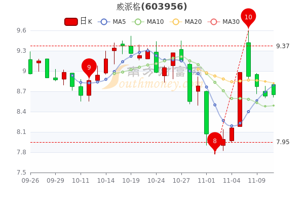 威派格9.88%最新消息全面解析，威派格最新動(dòng)態(tài)解析，9.88%消息一覽無余