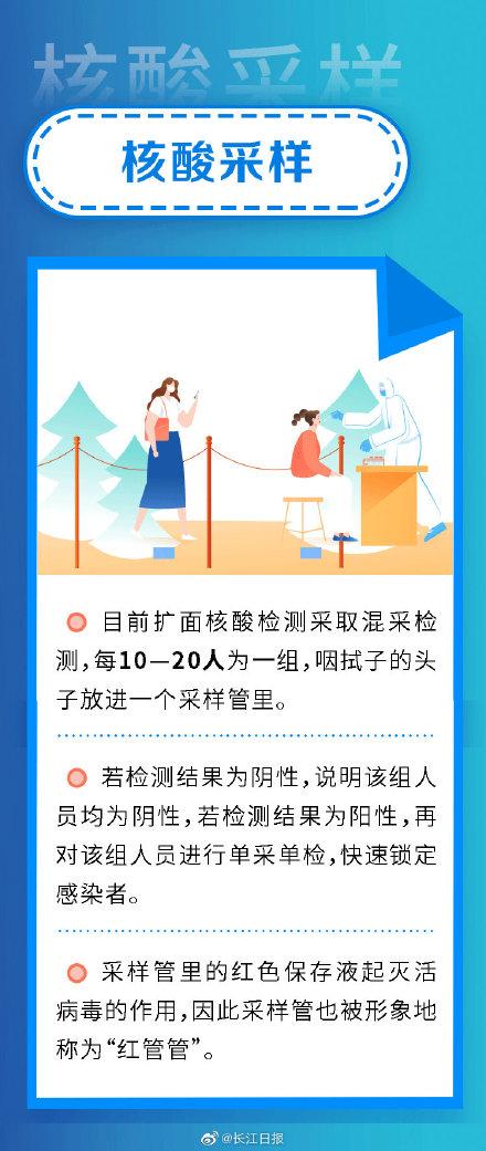 核酸檢測最新消息，技術進展與應用前景展望，核酸檢測技術最新進展與應用前景展望