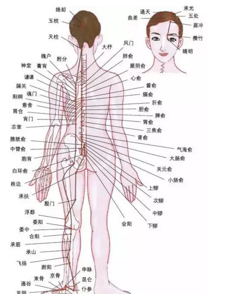 最新人體研究，探索人體奧秘的無限可能，最新人體研究揭示，探索人體奧秘的無窮潛力