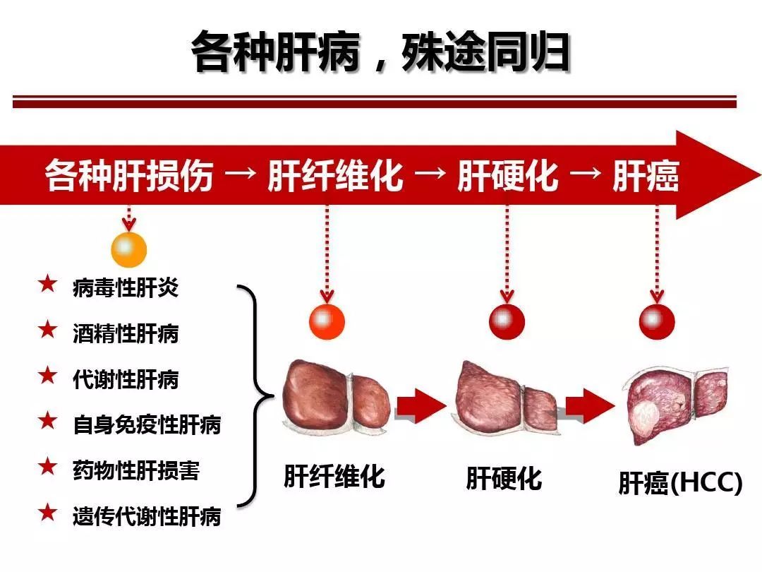 最新肝炎癥狀及其影響，理解、預防與應對，最新肝炎癥狀、影響、預防與應對策略解析