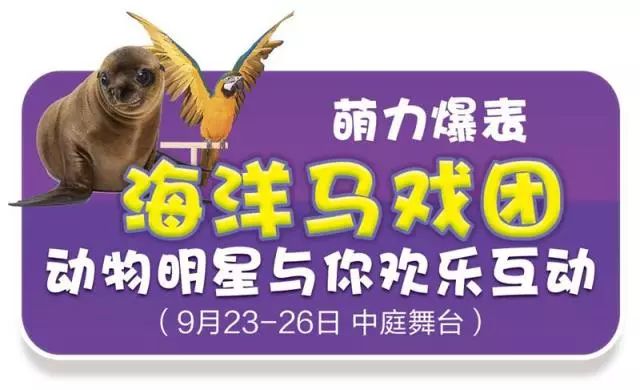 新澳門天天開獎(jiǎng)資料大全與違法犯罪問題，澳門彩票資料與違法犯罪問題探討