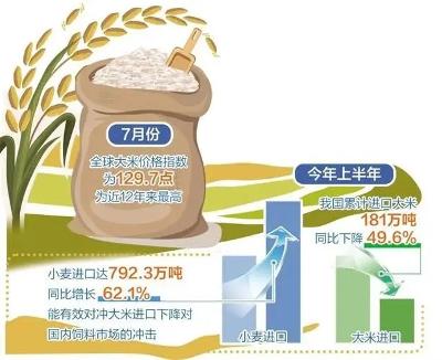 泰國(guó)大米價(jià)格下跌1-3%，市場(chǎng)趨勢(shì)、影響因素及未來(lái)展望，泰國(guó)大米價(jià)格下滑趨勢(shì)分析，市場(chǎng)趨勢(shì)、影響因素及未來(lái)展望