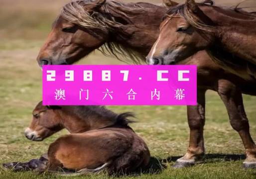 大三巴最準的一肖一碼,精準分析實施_限定版56.331