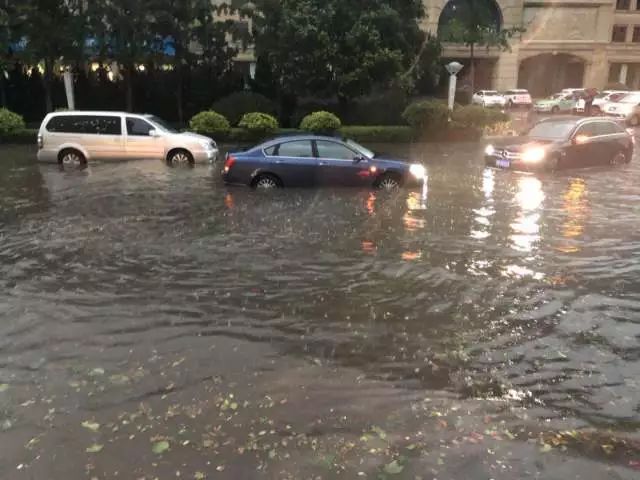 青島大暴雨最新情況報(bào)告，青島大暴雨最新情況報(bào)告，暴雨影響及應(yīng)對(duì)措施分析