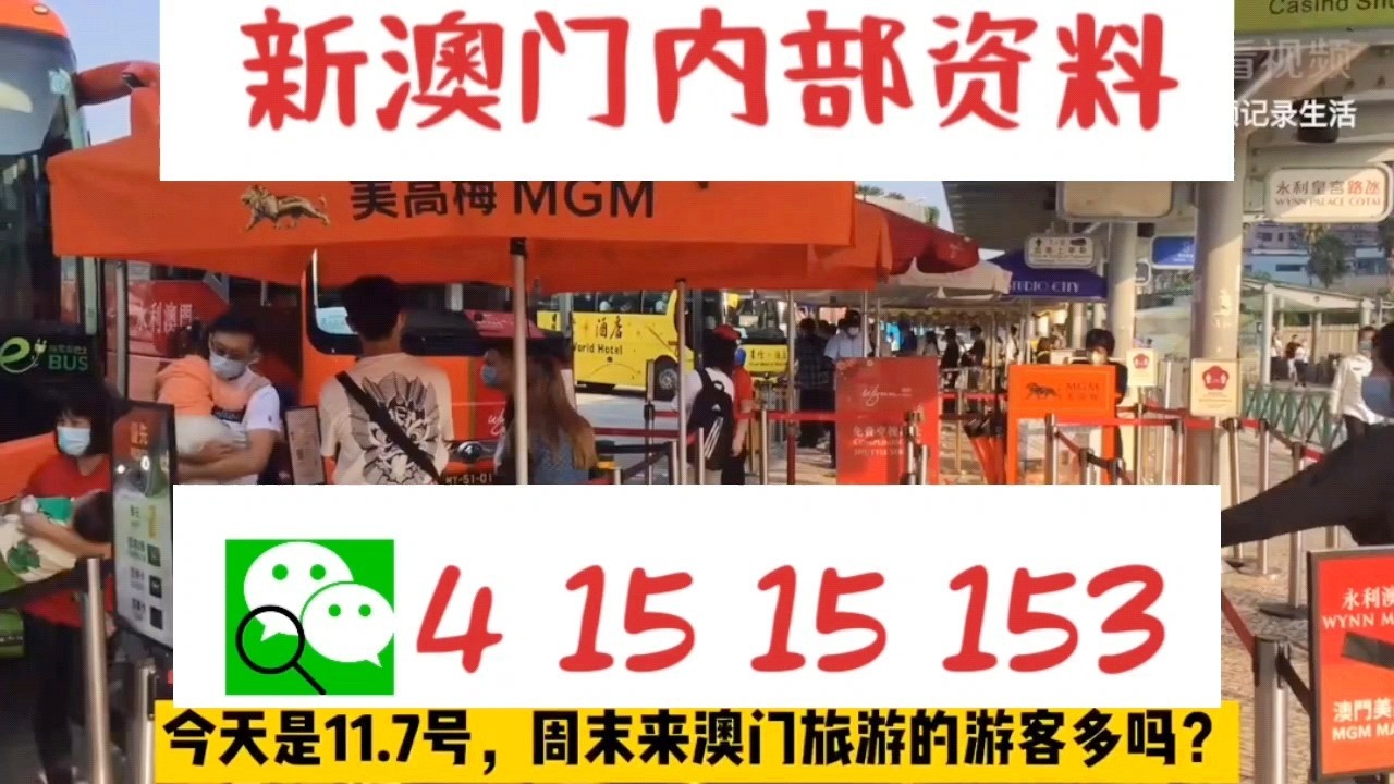 警惕新澳門一肖一碼中特的潛在風險——遠離賭博犯罪，警惕新澳門一肖一碼中特，遠離賭博犯罪風險