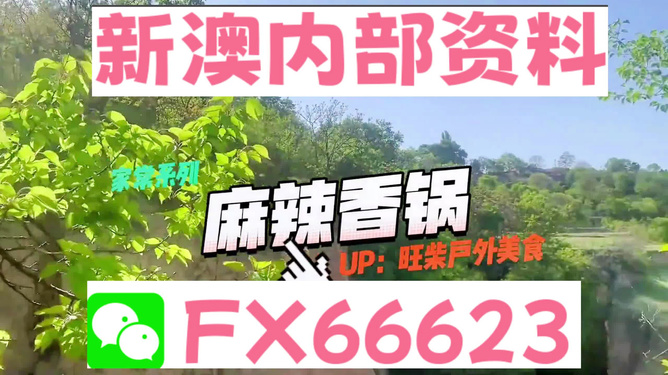 關(guān)于新澳資料免費(fèi)大全的探討，揭露犯罪風(fēng)險(xiǎn)與倡導(dǎo)合法行為的重要性，新澳資料免費(fèi)大全背后的風(fēng)險(xiǎn)與倡導(dǎo)合法行為的重要性