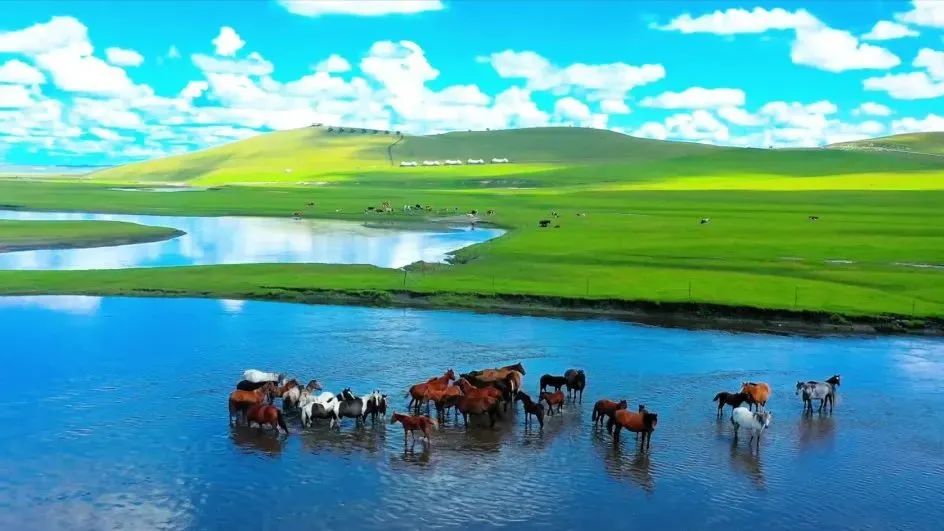 內蒙古旅游，草原之美與多彩文化的獨特魅力，內蒙古之旅，草原之美與多彩文化的獨特魅力