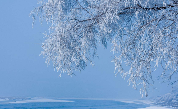 哪里可以看雪，一場關(guān)于雪景的探尋之旅，雪景探尋之旅，踏遍千山萬水只為那一場雪的美景