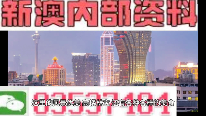 新澳精準(zhǔn)資料免費提供，探索第510期的奧秘與價值，新澳第510期精準(zhǔn)資料探索，奧秘與價值揭秘