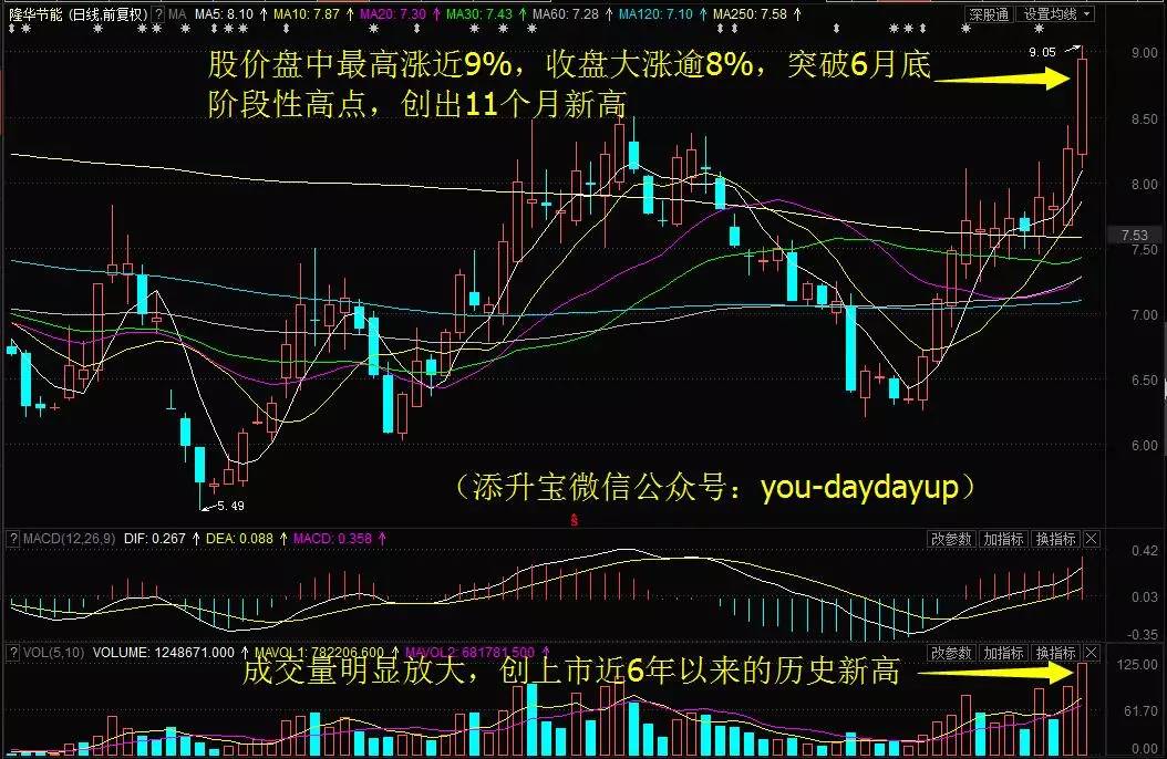 贏時勝漲停背后的原因深度解析，贏時勝漲停背后的原因深度探究