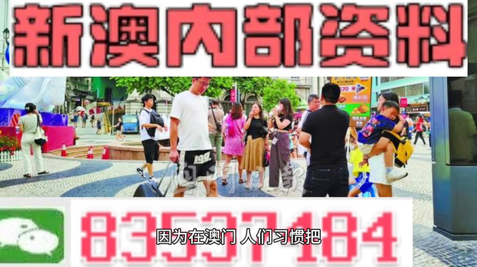 探索未來(lái)，解析2024新澳精準(zhǔn)正版資料的重要性與價(jià)值，解析2024新澳正版資料，探索未來(lái)的價(jià)值與重要性