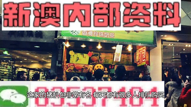 新奧天天精準資料大全，探索與洞察，新奧天天精準資料大全，探索與洞察的洞察