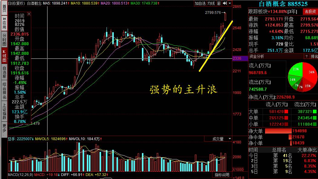 創(chuàng)歷史新高的股票，探尋背后的力量與機(jī)遇，創(chuàng)歷史新高的股票，背后的力量與機(jī)遇解析