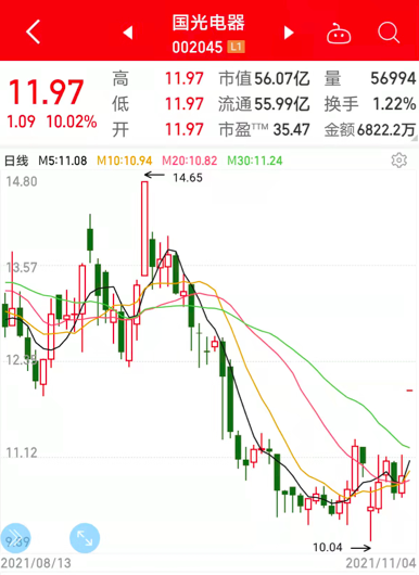 國光電器收盤強勢上揚，漲幅達驚人的10.01%，揭示未來增長新篇章，國光電器強勢收盤，漲幅達10.01%，開啟未來增長新篇章