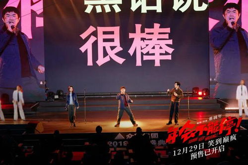 年會盛宴，星光璀璨，演員表全名單揭秘，年會盛宴，星光璀璨——演員全名單揭秘之夜