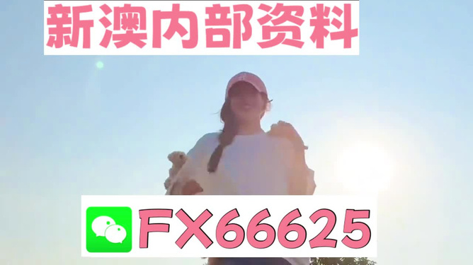 揭秘彩票背后的神秘?cái)?shù)字，精準(zhǔn)一肖與數(shù)字組合的魅力，彩票背后的神秘?cái)?shù)字揭秘，精準(zhǔn)一肖與數(shù)字組合的魅力探索