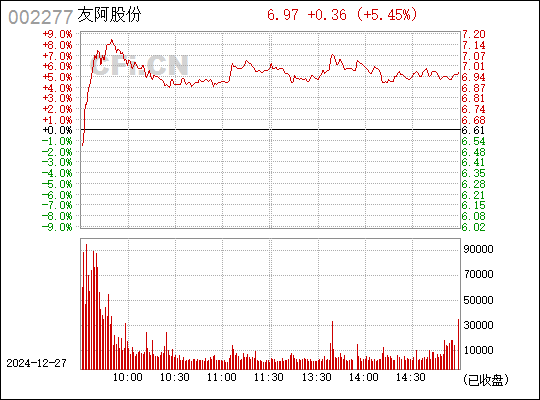 友阿股份，商業(yè)領(lǐng)域的卓越典范，友阿股份，商業(yè)領(lǐng)域的璀璨明珠