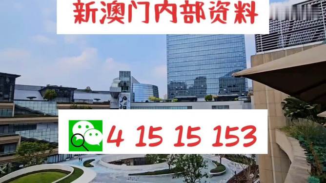 新澳門單雙王，游戲魅力與策略探討，澳門單雙王游戲魅力與策略解析